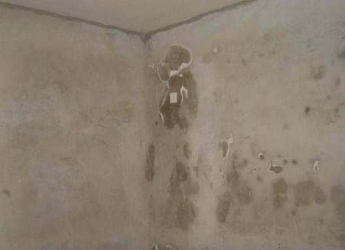 什么是墻面反堿？家中墻體返堿掉皮怎么處理？