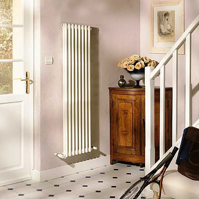 鄉(xiāng)村自建房最好裝一個暖氣。