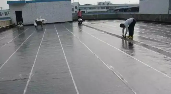 自建房屋頂做防水處理，這種材料是最好的。